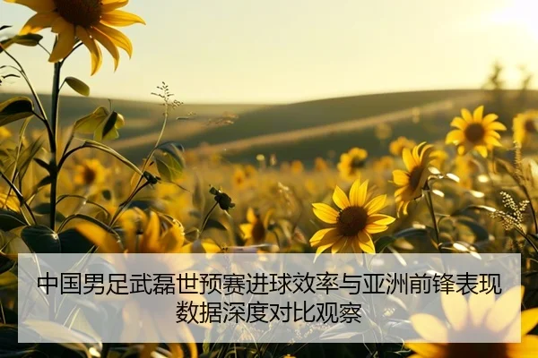 中国男足武磊世预赛进球效率与亚洲前锋表现数据深度对比观察